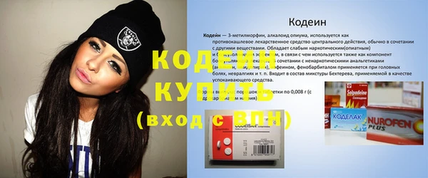 mix Инта