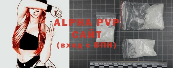 mix Инта