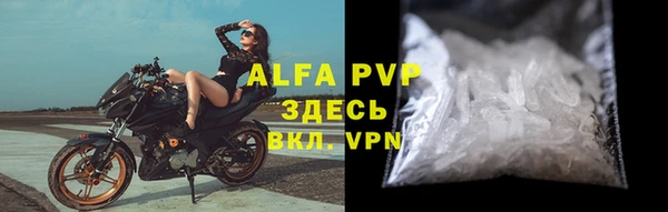 тгк Инсар