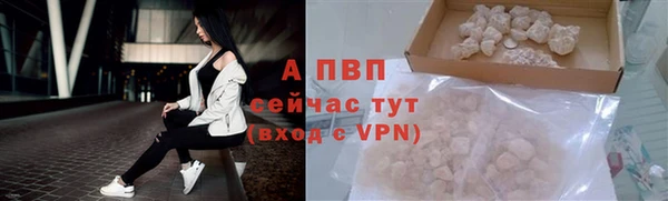 mix Инта