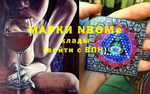 mix Инта