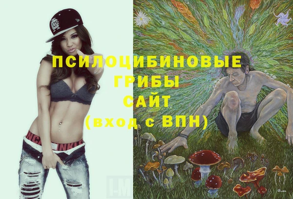 крисы Каменка