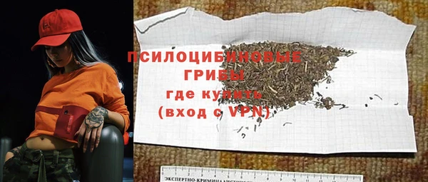 тгк Инсар