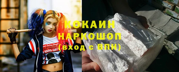 тгк Инсар