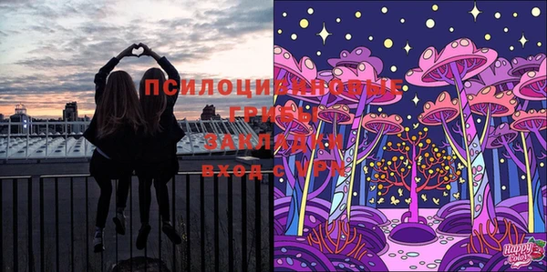 mix Инта
