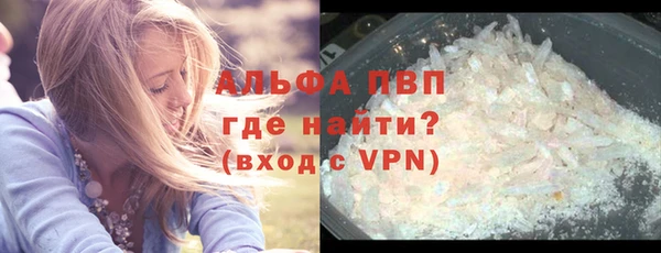 тгк Инсар